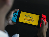 Nintendo Switch e Switch Lite non hanno superato la famiglia Nintendo 3DS. (Fonte: Andrew Te)