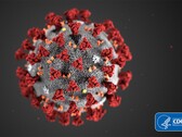 Grandi limitazioni a causa di Covid-19 (Source: CDC)