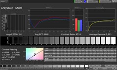 Scala di grigi (profilo: Professional, spazio colore di destinazione: sRGB)
