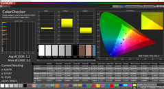 CalMAN ColorChecker (spazio colore target sRGB)