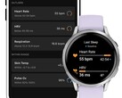 Lo Stato di salute utilizza un intervallo di misurazione ottenuto in precedenza per una classificazione rapida. (Immagine simbolica, fonte immagine: Garmin)