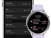 Lo Stato di salute utilizza un intervallo di misurazione ottenuto in precedenza per una classificazione rapida. (Immagine simbolica, fonte immagine: Garmin)