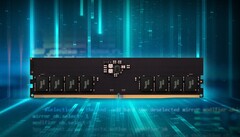 La nuova Elite U-DIMM DDR5 RAM. (Fonte: TeamGroup)