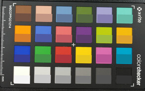 ColorChecker Passport: La metà inferiore di ogni area mostra il colore di riferimento.