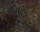 Un'immagine composita che mostra una sezione del mezzo interstellare radiografata per lo zolfo (Fonte immagine: DSS, DECaPS, eRosita, e NASA; ritagliata)