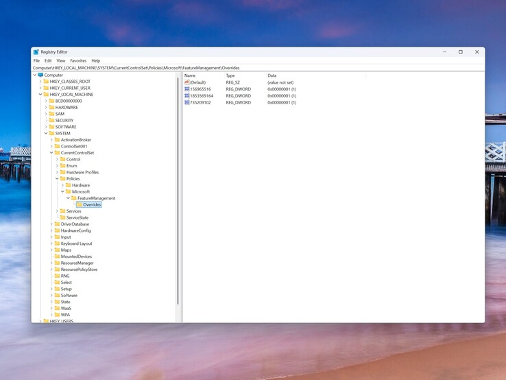 Ecco come appare il percorso del Registro di sistema corrispondente dopo l'aggiunta delle tre voci.