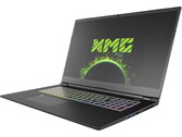 Recensione dello Schenker XMG Pro 17 con RTX 3080 (Clevo PC70HS): Un portatile gaming ultrasottile e una workstation insieme