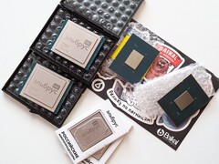 Baikal Electronics consegna 85.000 processori domestici entro la fine del 2024. Nella foto: Un processore BE-S1000 di Baikal Electronics (Fonte: Fritzchens Fritz)