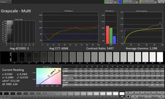 Scala di grigi CalMAN