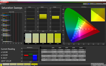 CalMAN: Saturazione Colore - spazio colore target sRGB. Profilo colore: Standard