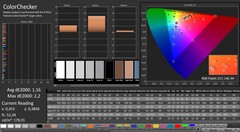 CalMAN: ColorChecker (calibrato)