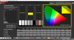 CalMAN ColorChecker (profilo TrueColor: Display-P3)