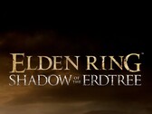 FromSoftware non ha fretta di lanciare un sequel di Elden Ring (fonte immagine: FromSoftware)