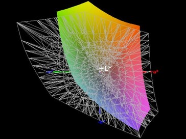 58% di copertura dello spazio di colore AdobeRGB