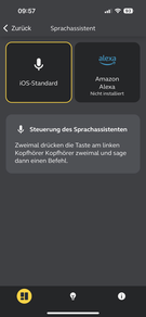 Assistenti linguistici: iOS/iPadOS