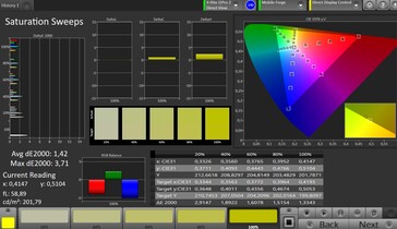 CalMAN: Scala di grigi - contrasto standard, gamma colore target sRGB