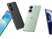 Il OnePlus Nord 2T dovrebbe essere disponibile a livello globale. (Fonte: Digital Chat Station)