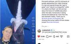 GatorChris spiega in un video che le balene non si allattano in questo modo