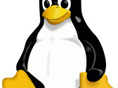 Il Kernel 6.11 di Linux è in arrivo, e porta il supporto per il nuovo hardware. (Immagine: Wikimedia Commons)