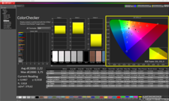 CalMAN - Color Checker