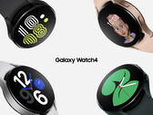 Il Galaxy Watch4 sarà presto disponibile per le build beta di One UI Watch. (Fonte: Samsung)