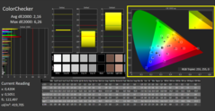 CalMAN - ColorChecker calibrato