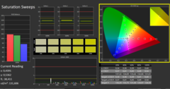 Calman ColorChecker: Modalità di visualizzazione DisplayP3 - saturazione