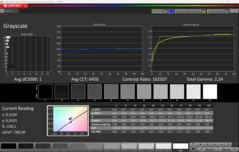 CalMAN scala di grigi calibrata