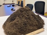 Un mucchio di 1 milione di zanzare (Fonte: Distretto di controllo delle zanzare della Contea di Lee; ritagliato)