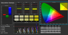 Saturazione di Calman ColorChecker