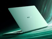 Il nuovo MagicBook Pro 14 ha un display di bell'aspetto (Fonte: Honor)