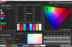 88.8% di copertura dello spazio di colore AdobeRGB (Intersezione 2D CalMAN)