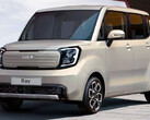 La Ray EV del 2023 utilizzerà una batteria LFP (immagine: KIA)