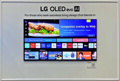 Il televisore LG OLED G6 riceve un nuovo pannello OLED in tandem (Fonte: 59LIHP / AVSForum)
