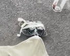 Il Neo 2 potrebbe essere uno dei numerosi droni consumer che DJI rilascerà quest'anno. (Fonte immagine: Igor Bogdanov - modificato)