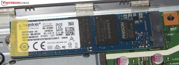 Un'unità SSD PCIe 3.0 funge da unità di sistema.