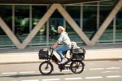 Tern ha rivelato la bicicletta elettrica Quick Haul con accessori per adattare il veicolo alle tue esigenze di trasporto. (Fonte: Tern)
