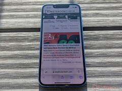 Il fattore di forma compatto dell&#039;iPhone 13 mini non dovrebbe tornare presto. (Fonte: Notebookcheck)