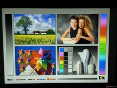 Ampi angoli di visione IPS