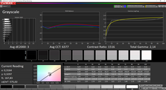 CalMan: Scala di grigi prima della calibrazione (gamma di colore target AdobeRGB)