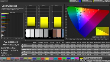 Precisione del colore CalMAN