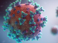 Alcune persone possono soffrire di sintomi a lungo termine, anche dopo aver sconfitto il mortale coronavirus (Immagine: Fusion Medical Animation)