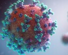 Alcune persone possono soffrire di sintomi a lungo termine, anche dopo aver sconfitto il mortale coronavirus (Immagine: Fusion Medical Animation)