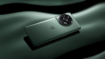 OnePlus 11 5G - Foresta di smeraldo. (Fonte: OnePlus)