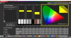 CalMAN ColorChecker (profilo: P3, spazio colore di destinazione: P3)