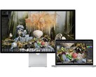Render di Studio Display originale utilizzato con un MacBook. (Fonte immagine: Apple)