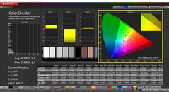 CalMAN ColorChecker (profilo: P3, spazio colore di destinazione: P3)