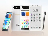 Il Bigme HiBreak Dual 3 è dotato di un display piccolo e rimovibile.