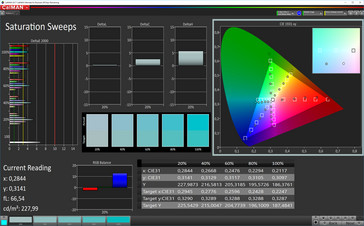 CalMAN: Saturazione colore – Profilo: Caldo, spazio colore target sRGB