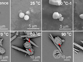 Frammenti di plastica nell'acqua (Fonte: Environmental Science &amp; Technology Letters via ScienceAlert)